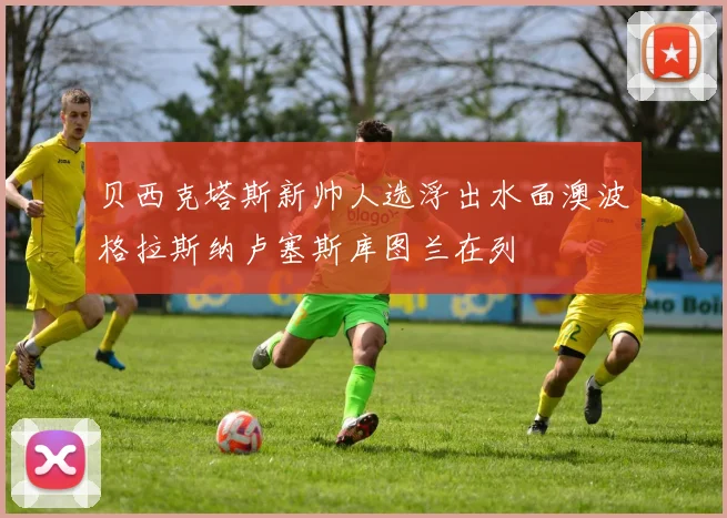 贝西克塔斯新帅人选浮出水面澳波格拉斯纳卢塞斯库图兰在列