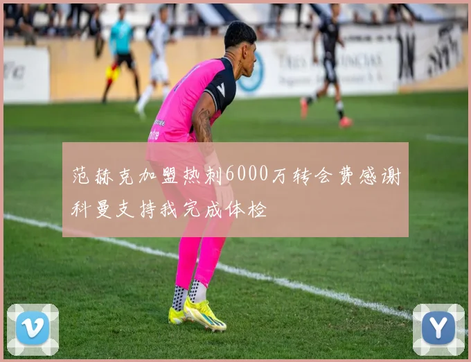 范赫克加盟热刺6000万转会费感谢科曼支持我完成体检