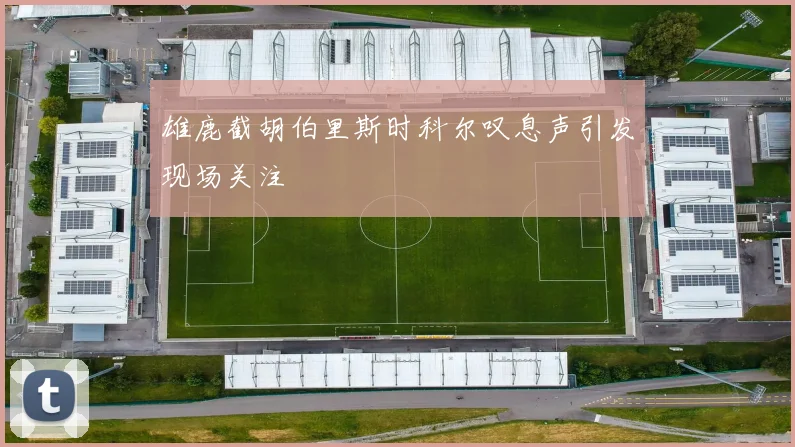 雄鹿截胡伯里斯时科尔叹息声引发现场关注
